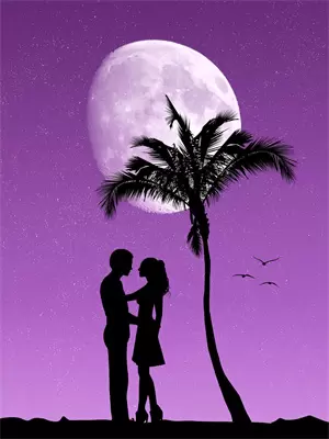 七夜暴宠 小说